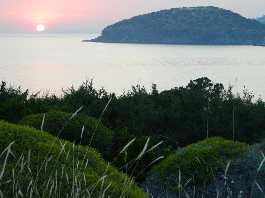 Sounio Palea Heaven Apartment Palaia Fokaia Exterior photo